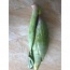 Bắp chuối hạt (hoa chuối) an toàn VietGAP